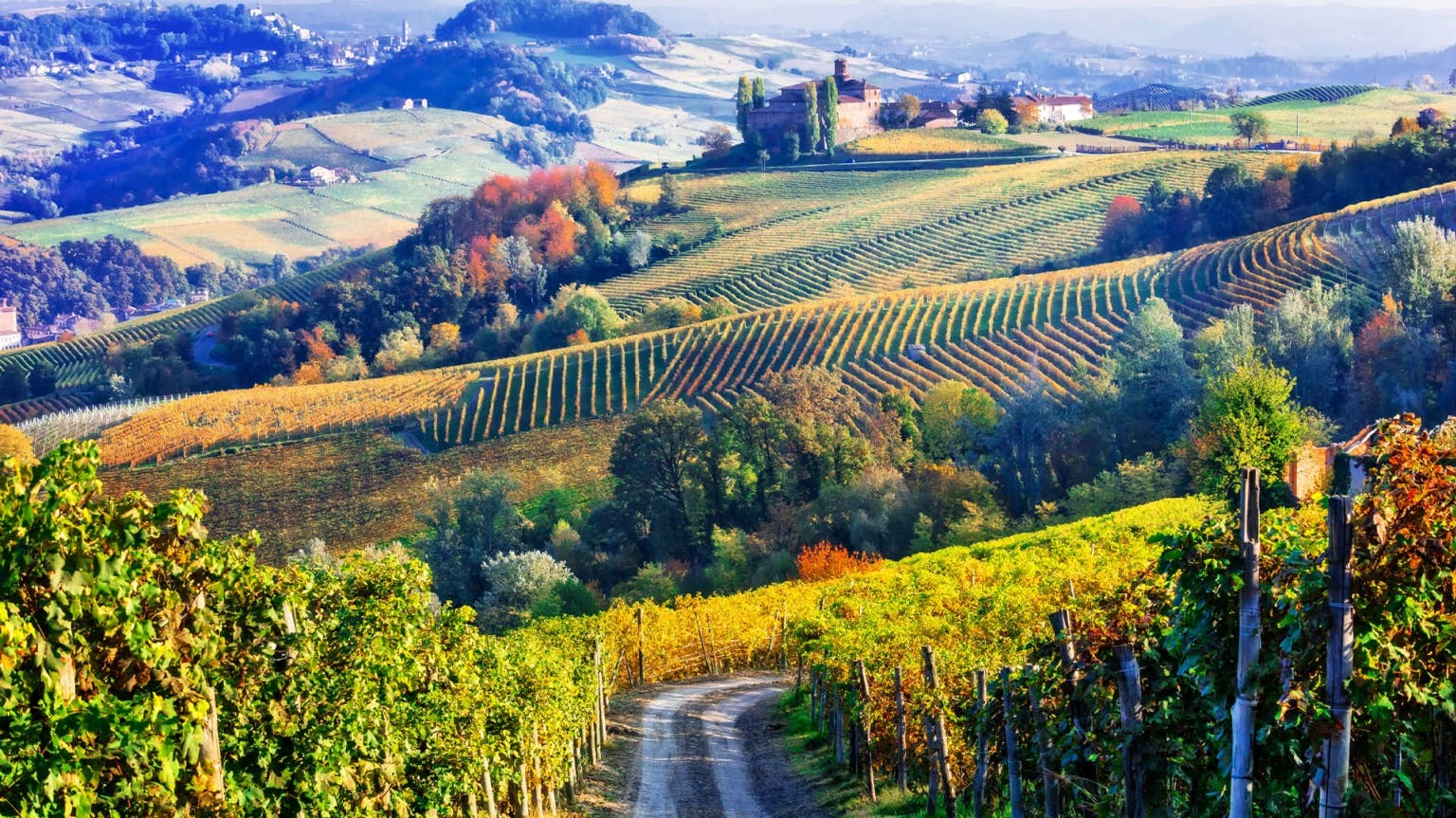 What is Barolo Chinato?