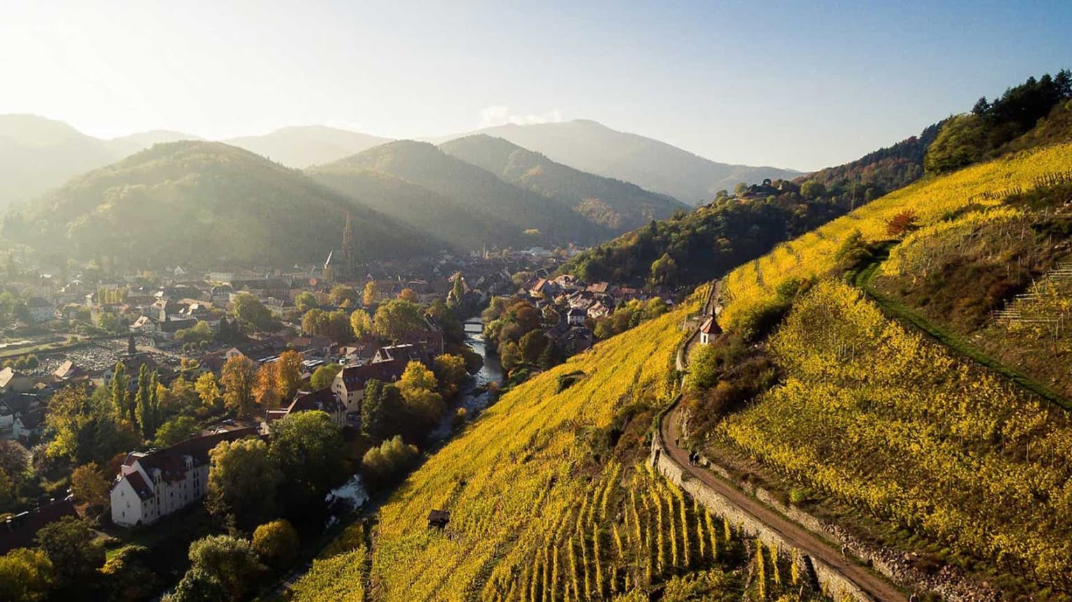 Exploring Alsace’s terroir: Clos Windsbuhl versus Clos-Saint-Urbain