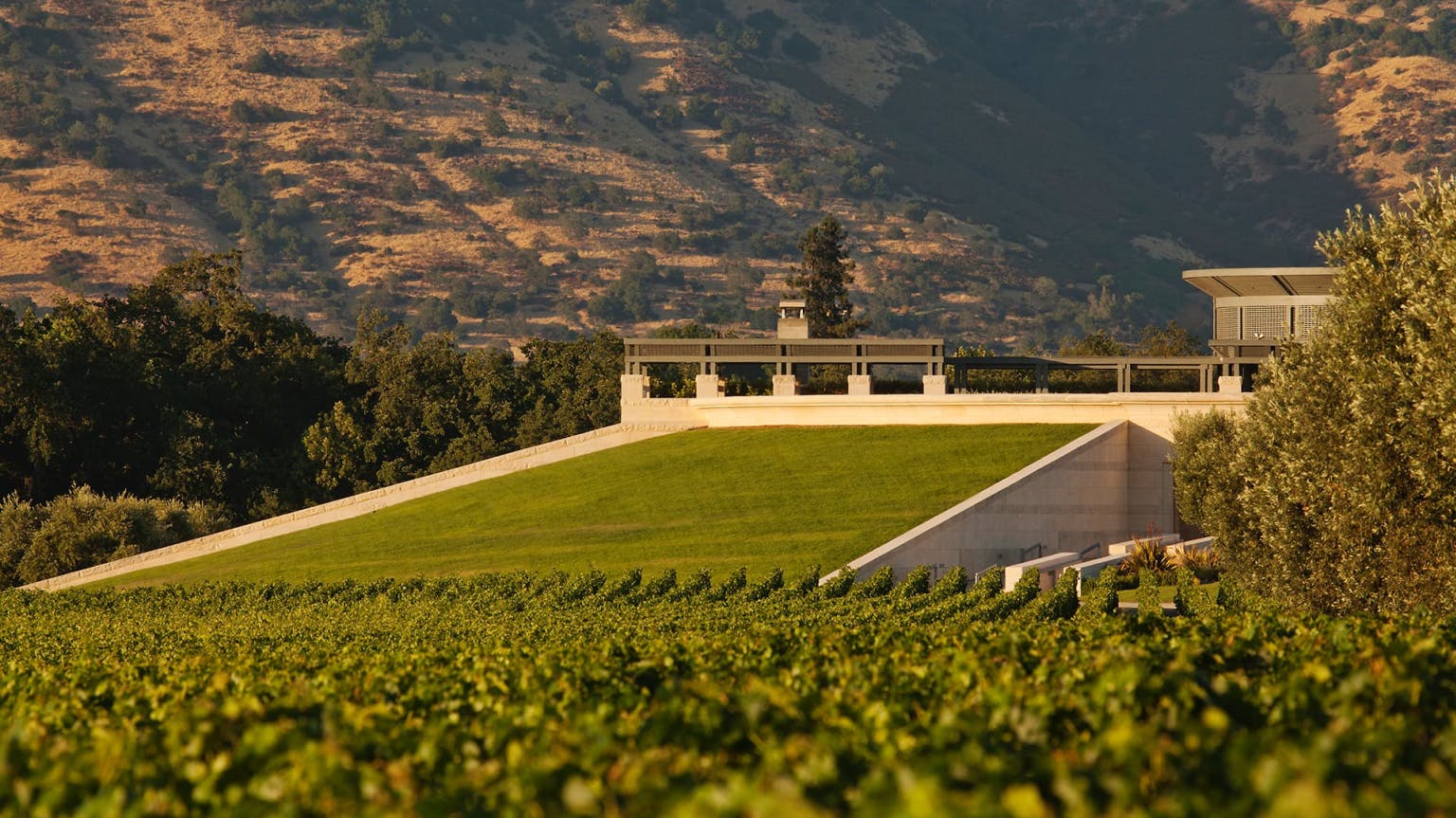 Napa 2021: rich, fresh and a relief