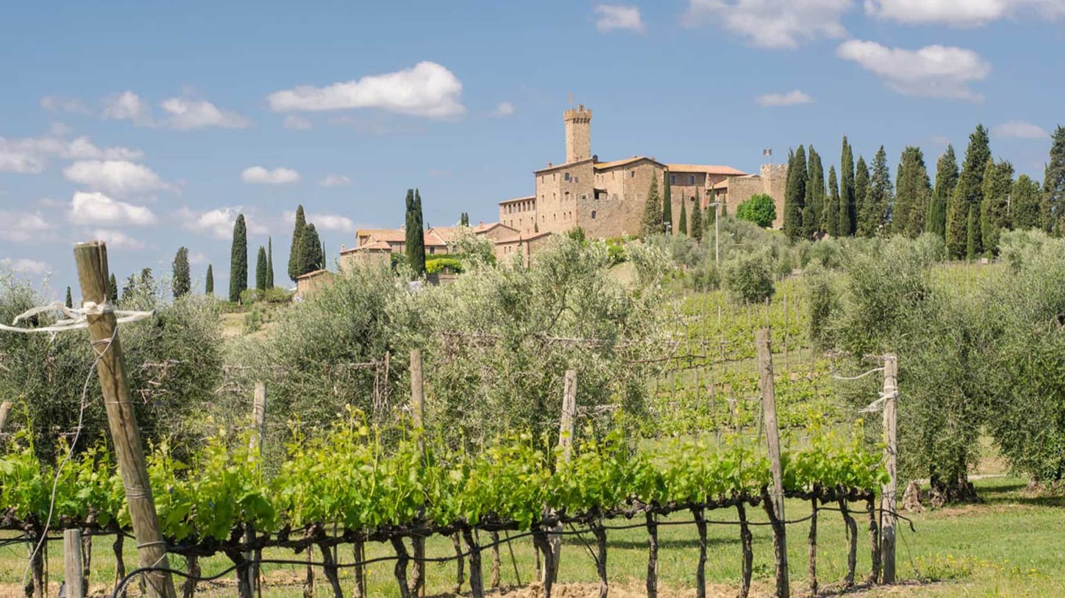 Brunello 2016: a magical year in Montalcino