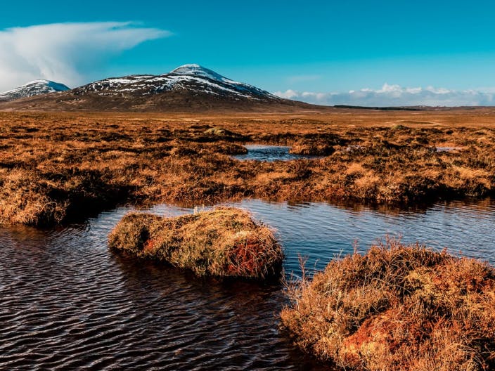 Flow Country peat bogs at Forsinard, Scotland istock photo 1:1