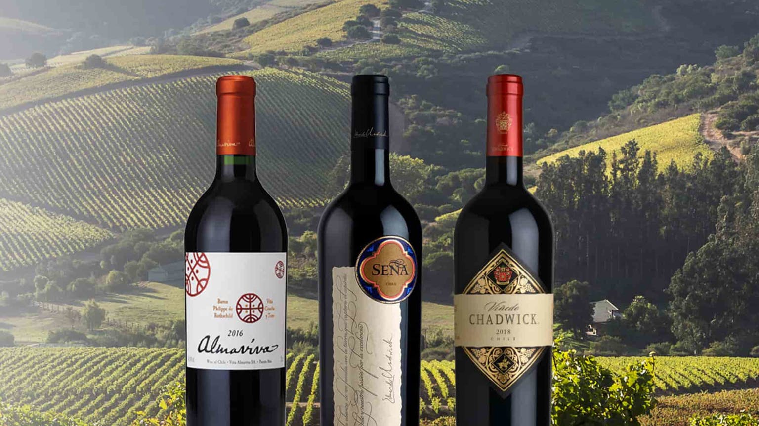 Chile's Grand Crus explained