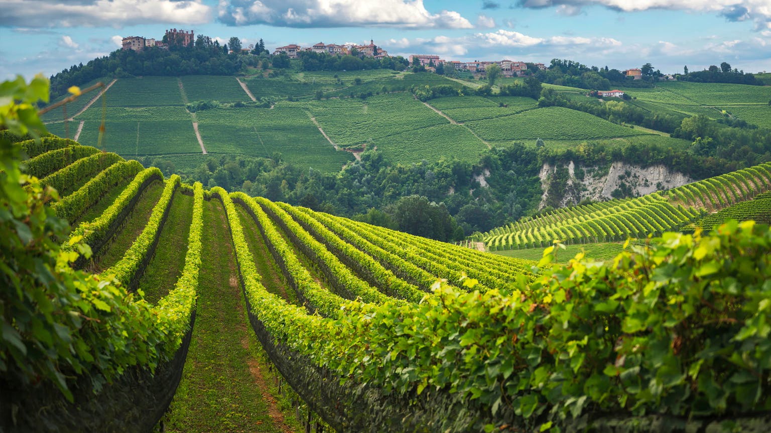 The sub-regions of Barolo and their very different flavour profiles