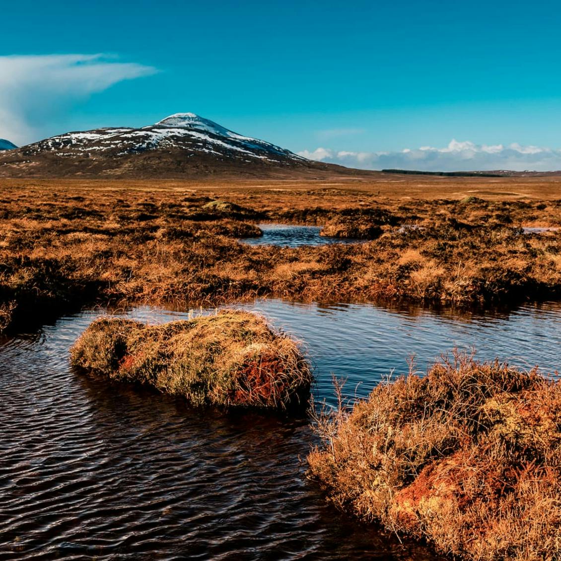 Flow Country peat bogs at Forsinard, Scotland iStock photo