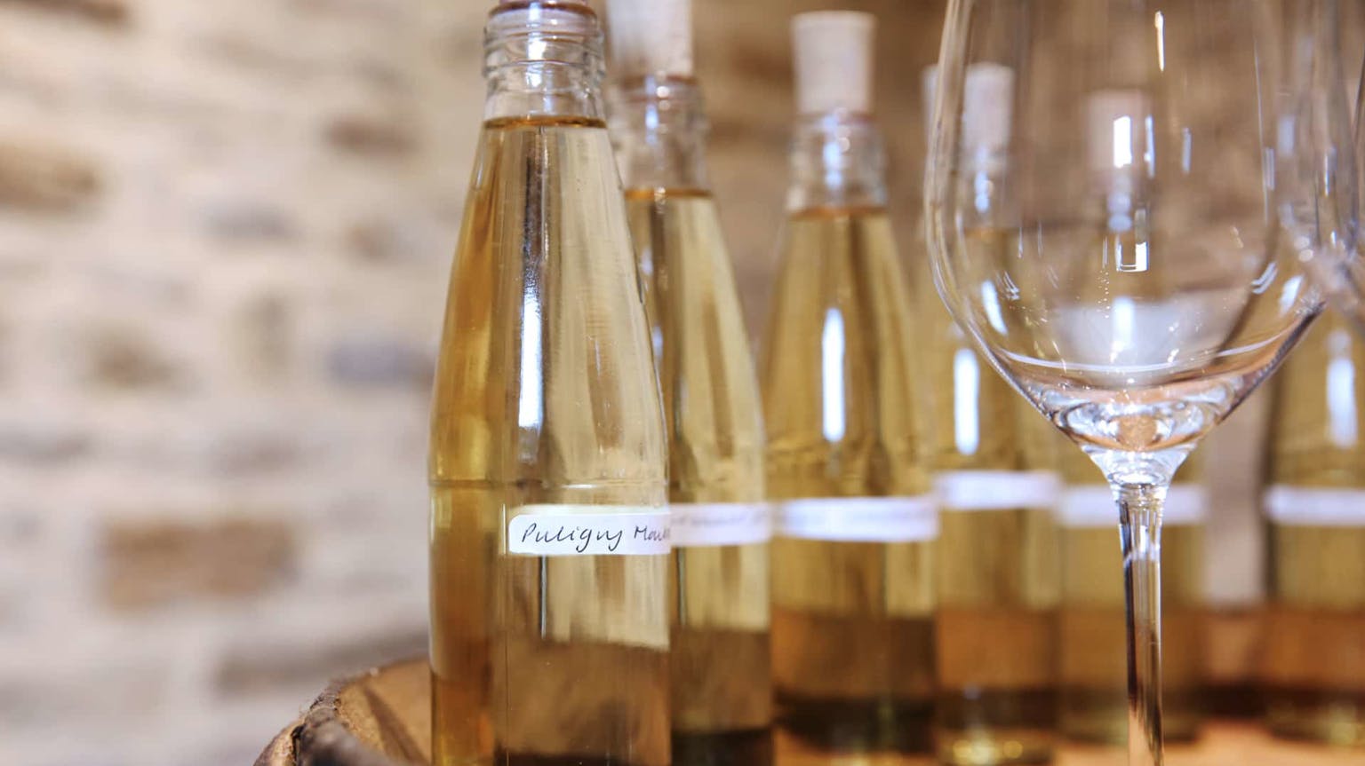 2019 Burgundy white wine vintage report 
