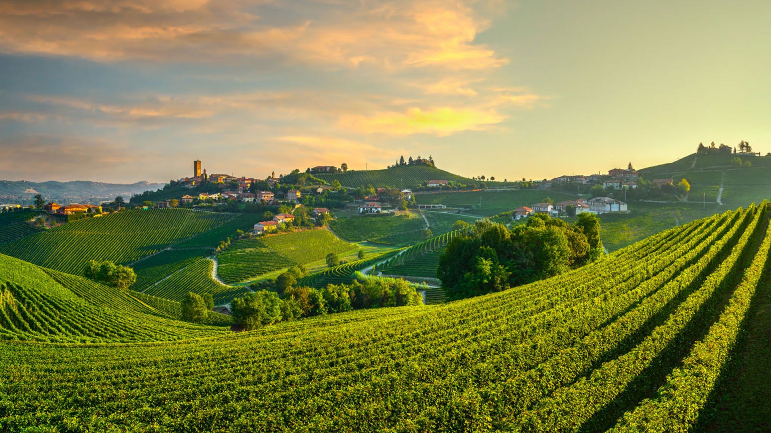 Your definitive guide to Barolo
