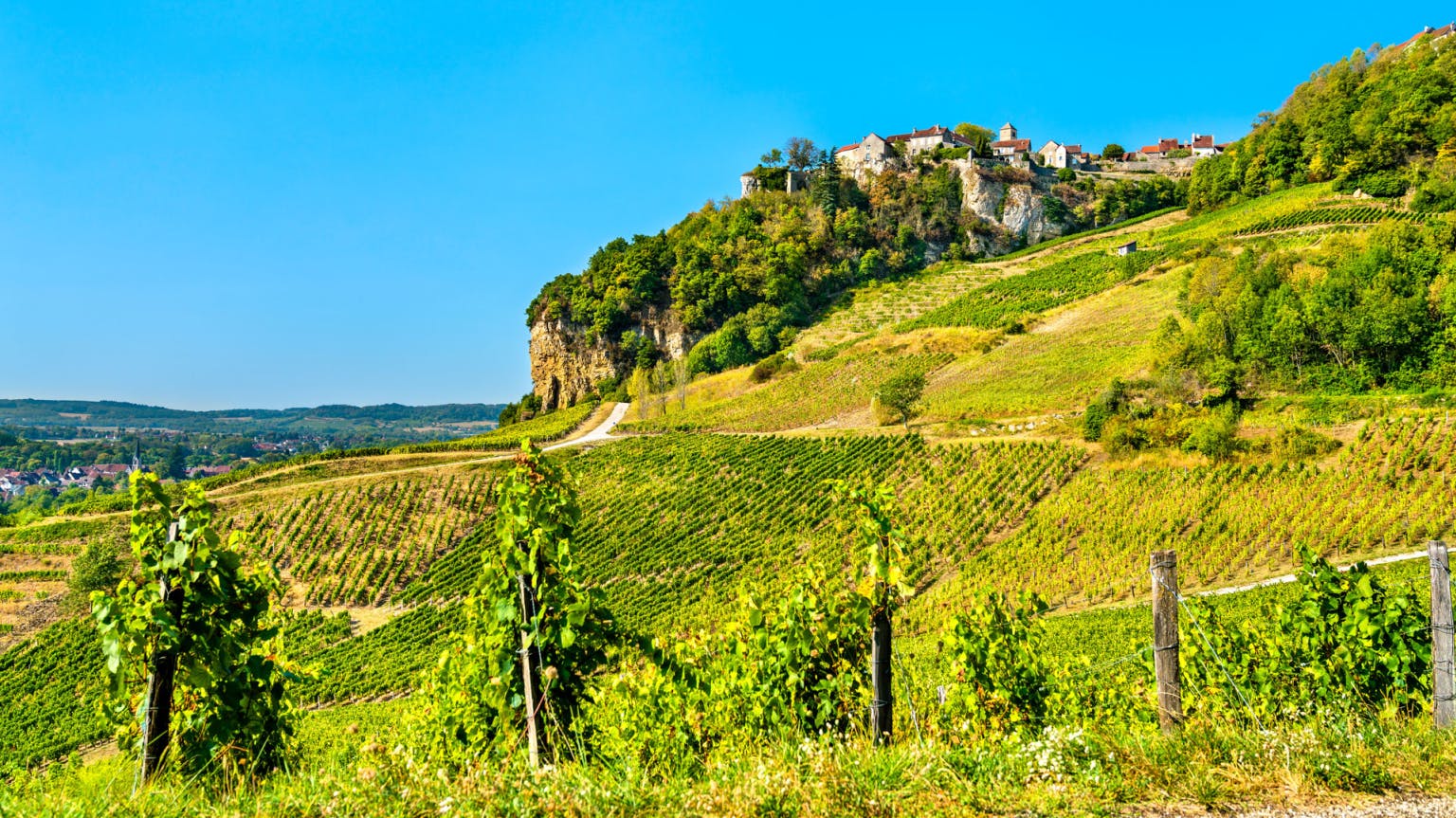 Your guide to the white wines of the Jura