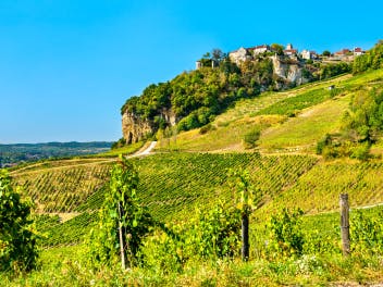 jura-vineyards
