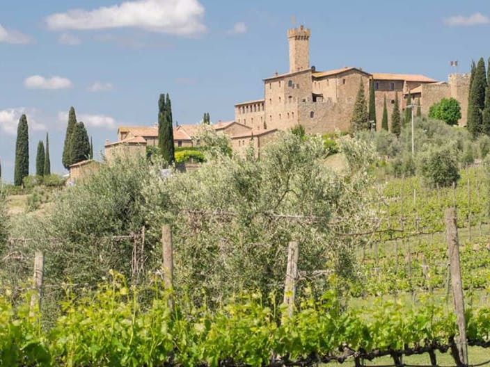 brunello-2016-a-magical-year-in-montalcino 1:1