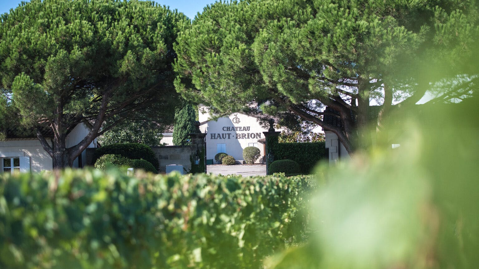 Your guide to Bordeaux’s other classifications: Graves, Cru Bourgeois and Cru Artisan