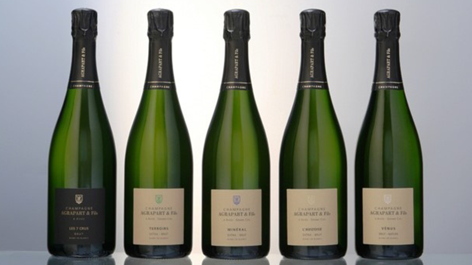 Champagne Agrapart – Pioneer of Terroir Expression