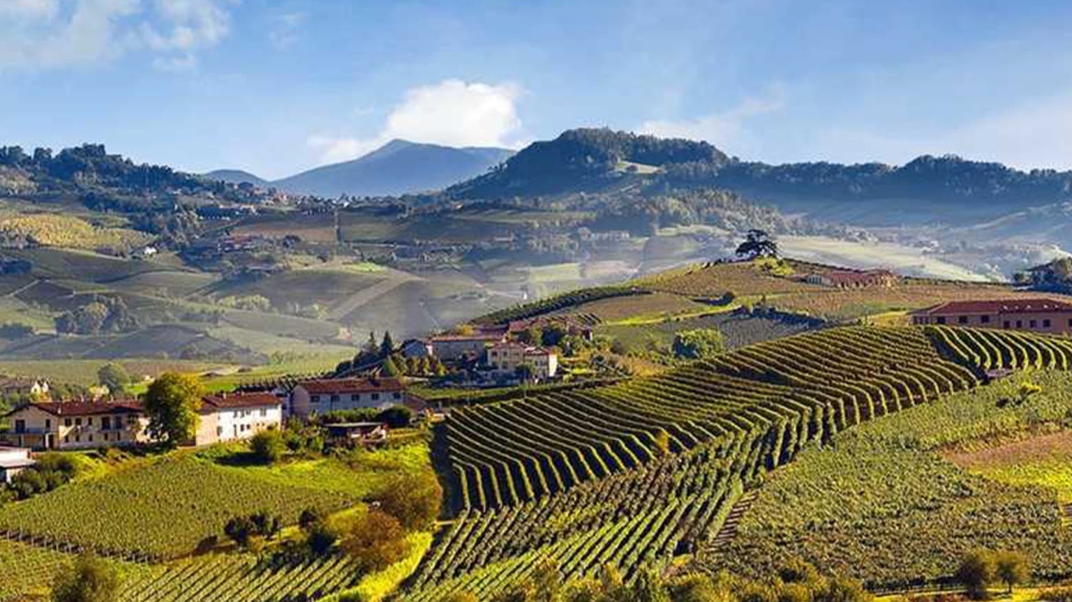 Produttori del Barbaresco: The single-vineyard Riservas