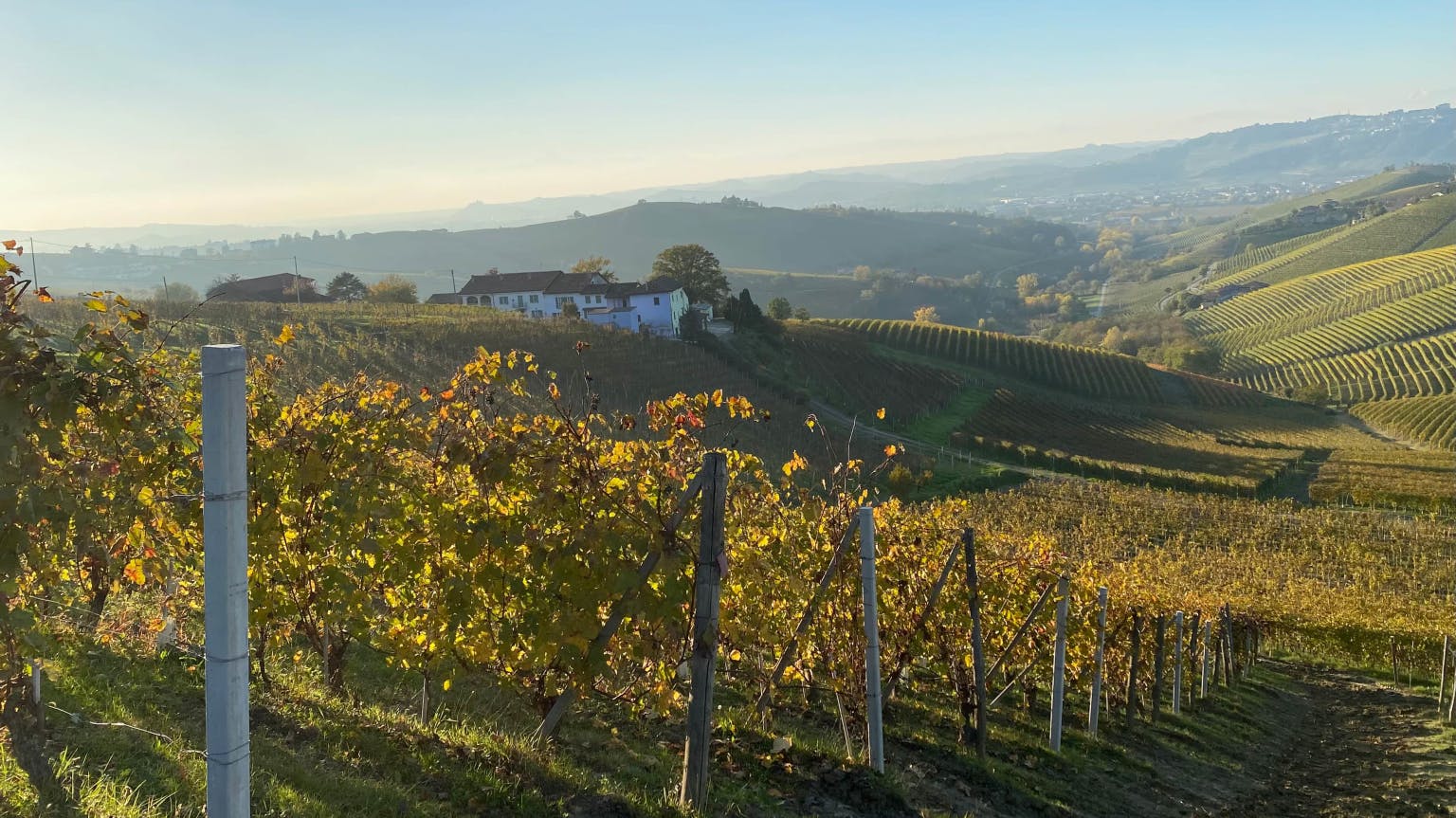 The allure of the Langhe