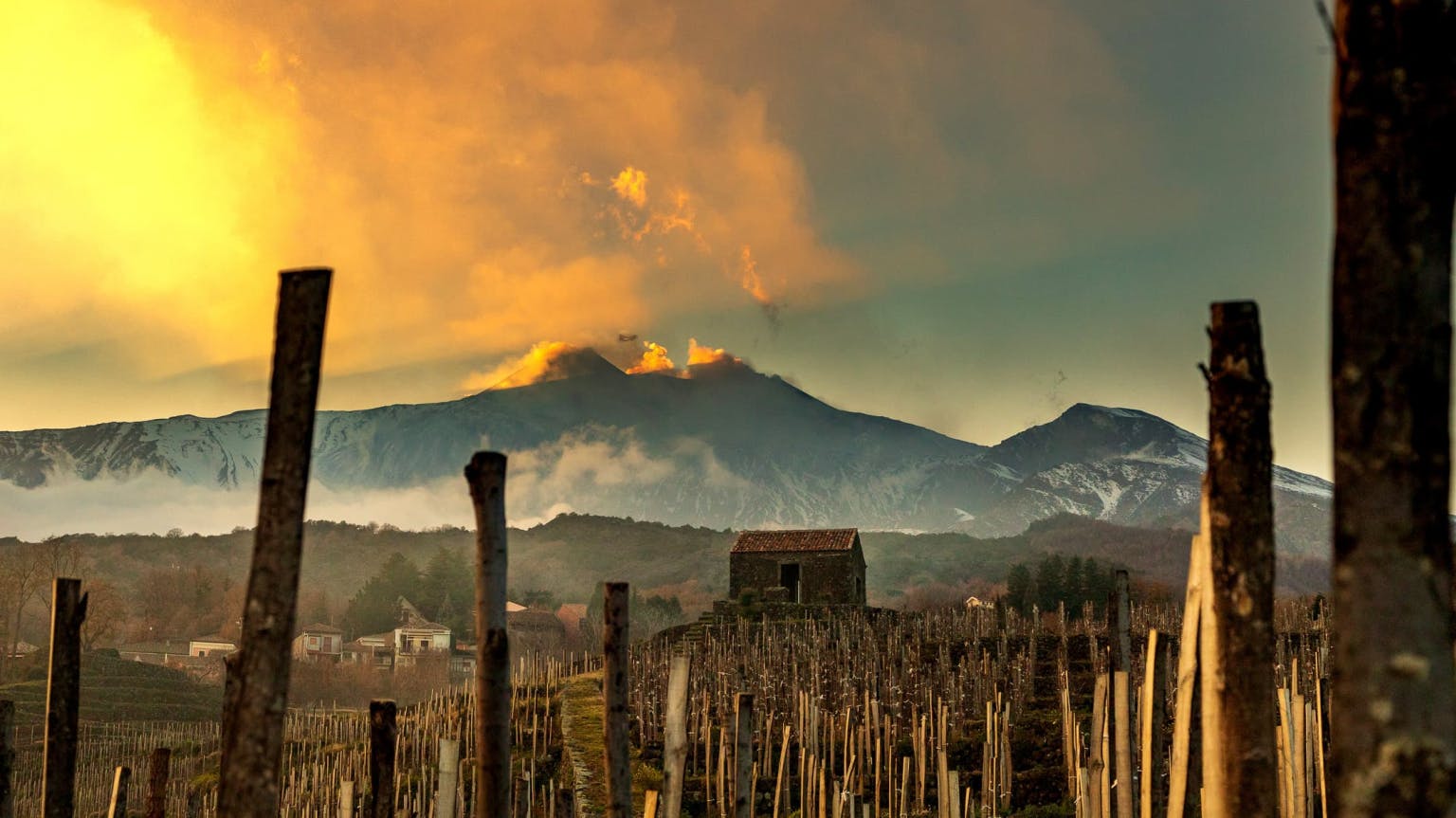 Establishing Etna: Benanti