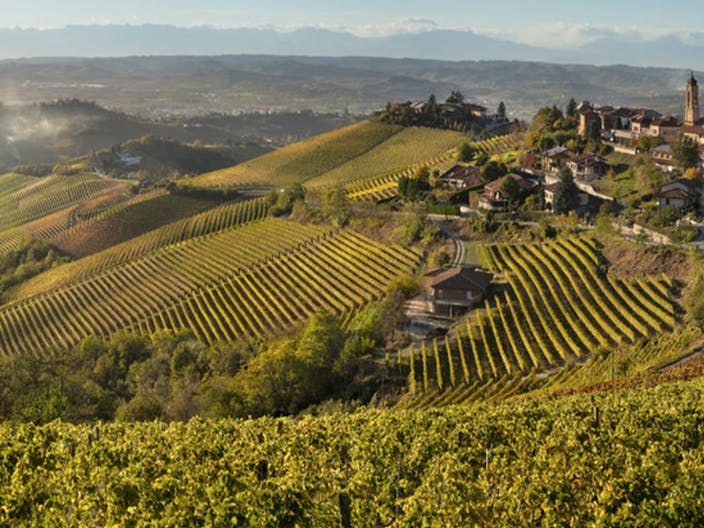 The-Historic-Rise-of-Nebbiolo