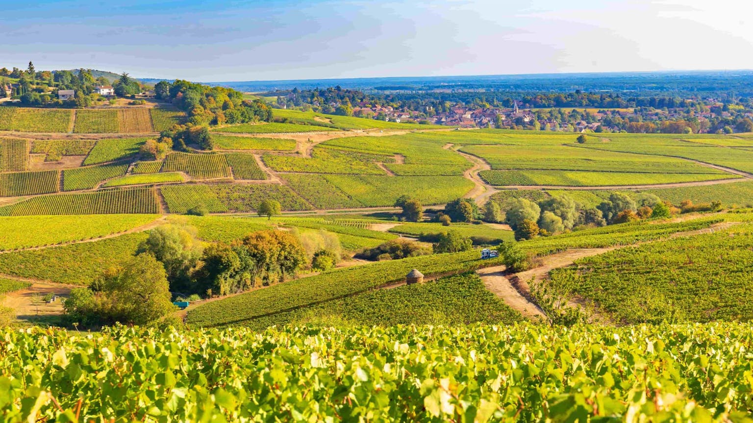 Burgundy 2021 en primeur