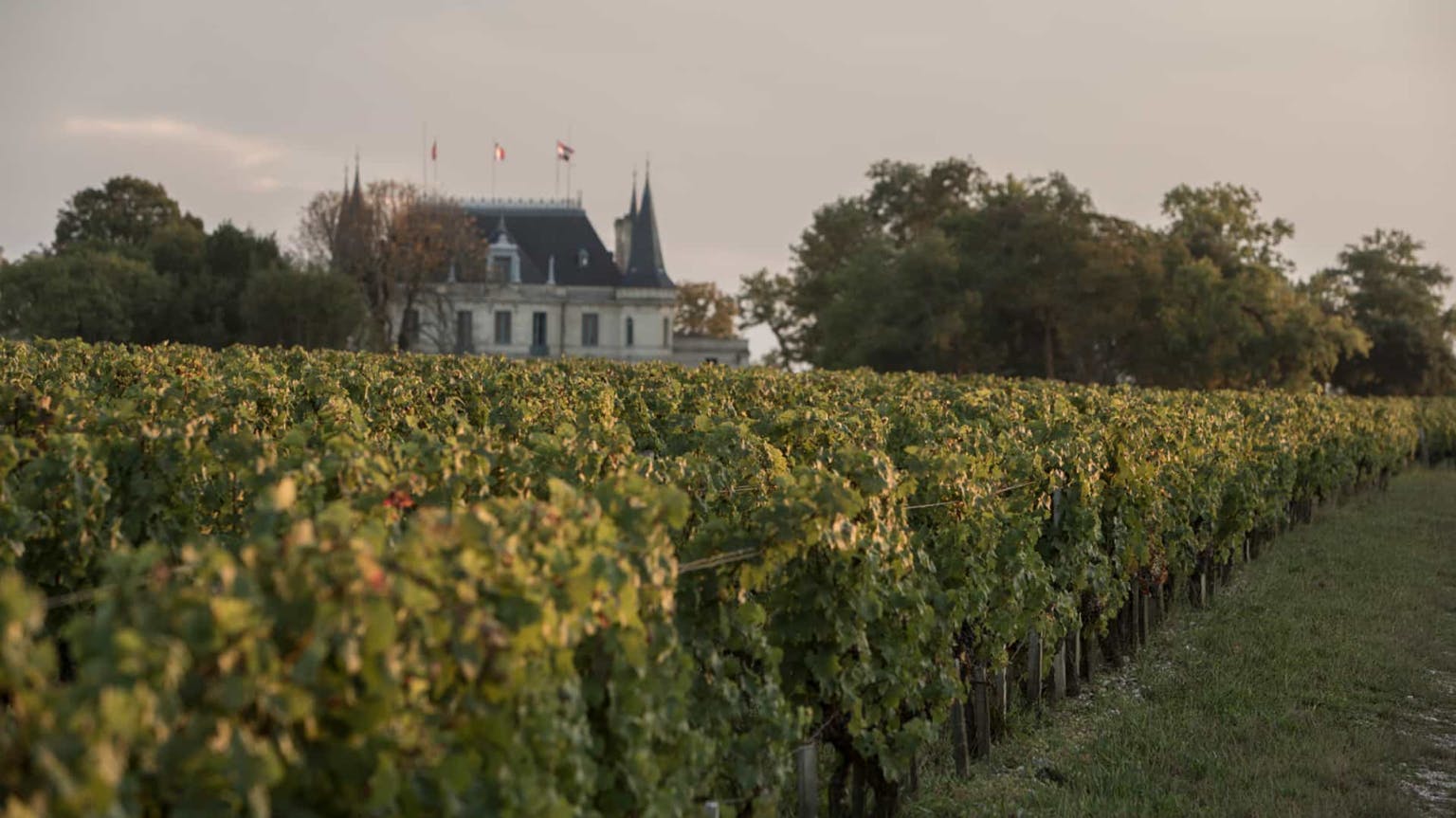 Bordeaux 2018: Early vintage insight from the producers