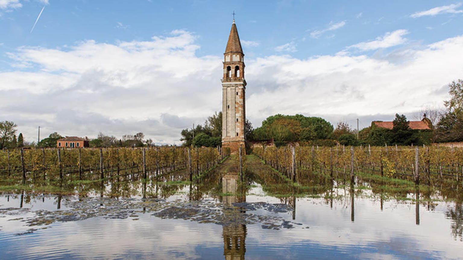 Venissa: the unique terroir of Venice's flooded vineyards
